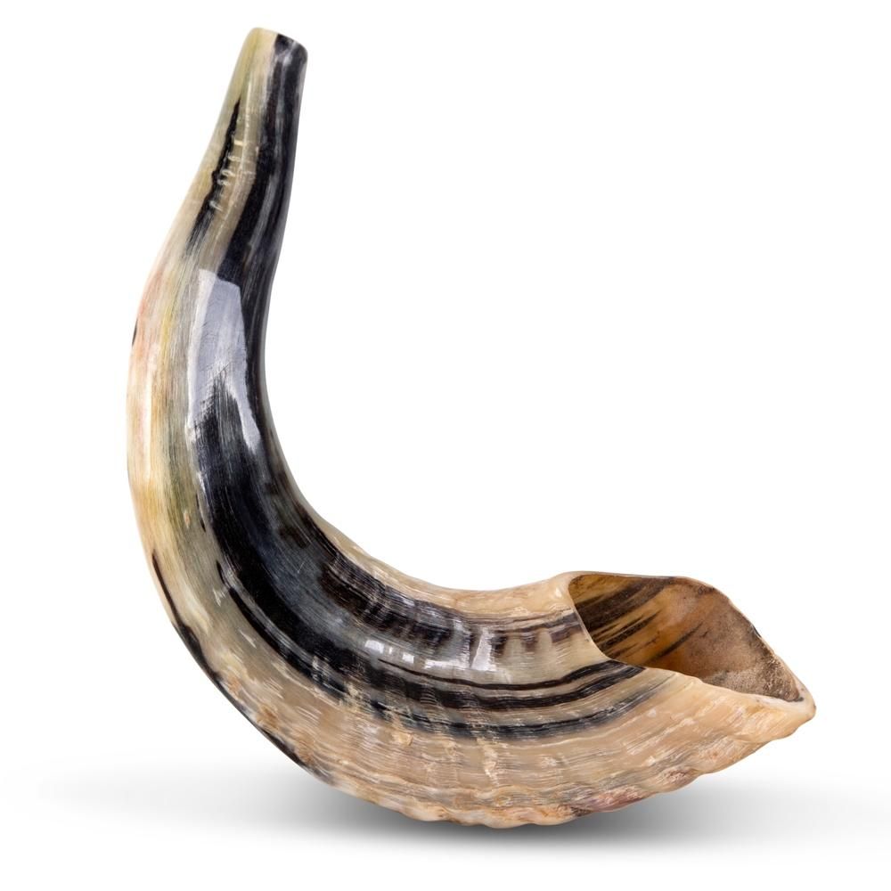 Rams Horn Shofar