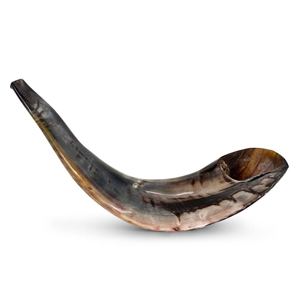 Rams Horn Shofar