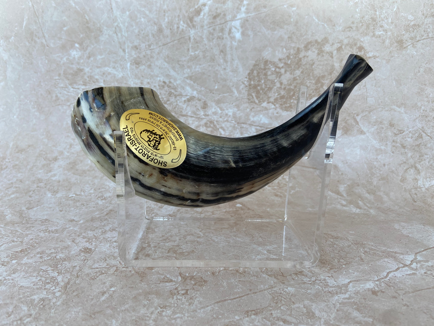 Rams Horn Shofar