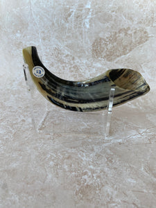 Rams Horn Shofar
