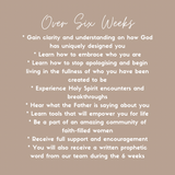 'Discover your Divine Design' - 6 week Group Mentoring Program